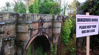 600 Dogs Jump off 'Haunted Suicide Bridge' but why?