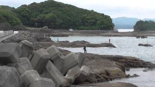 田辺市元島堤防の地磯　スズメ近辺