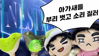 많이 기다렸지 암쏘쏘리🥹 6년만에 모인 갓세븐 콘서트💚 근데 왜 네버에버 안해줘.. | 아가새로그 • 둥지콘 • 개터리 • 추억여행 • 원터헵타곤 • 앨범깡