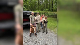 Community helps sheriff’s office round up ‘goat gang’ in Gilmer County