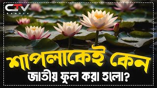 শাপলা ফুল | বাংলাদেশের জাতীয় ফুল শাপলা | National flower of Bangladesh | CTV BANGLA