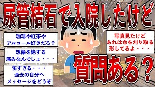 尿管結石で入院したけど。この病気について知っておくべきことがたくさんあります。質問ある？  【2ch面白いスレ】【ゆっくり解説】