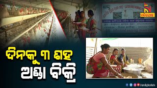 କୁକୁଡ଼ା ସହ ଅଣ୍ଡା ବ୍ୟବସାୟ କରି ସ୍ୱାବଲମ୍ବୀ ହୋଇ ପାରିଛନ୍ତି ମହିଳା | NandighoshaTV