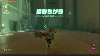 【ゼルダの伝説 ティアキン】ツカロクの祠 進むちから 攻略