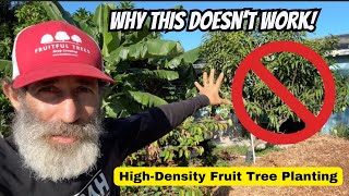 Why High Density Fruit Tree Planting Doesn’t Work Long Term
