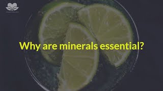 Why Are Minerals Essential