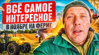 ВСЁ САМОЕ ИНТЕРЕСНОЕ В НОЯБРЕ НА ФЕРМЕ 🐐🐓🐮: Рассказываю обо всём! 🤯#МоеПодворье