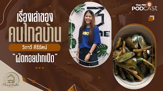 เรื่องเล่าของคนไกลบ้าน ผัดหอยปากเป็ด (จันทบุรี) | Flavor of Hometown