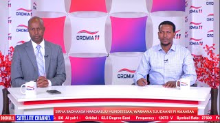 OROMIA11: Sirna Badhaasa Haacaaluu Hundeessaa, Waraana Suudaanii Fi Amaaraa