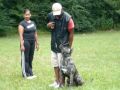 duke 13 month presa training for schutzhund obedience