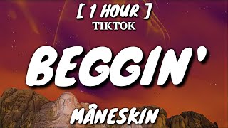 Måneskin - Beggin' (Lyrics/Testo) [1 Hour Loop] "I'm beggin', beggin' you" [TikTok Song]
