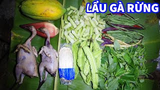 SĂN GÀ RỪNG, NỒI LẨU GÀ TRONG RỪNG, NGỦ RỪNG, TRẢI NGHIỆM HOANG DÃ | T13