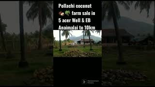 Pollachi coconut 🥥🌴 farm sale in 5 acer Well \u0026 EB Anaimalai to 10km CA RealEstate Ct 9344005773