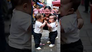 Aibo twin cubs, the prettiest cubs on the street, small bodies with big energy, two little guys, I