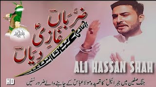 Zarbaan Ghazi (a.s) Diyan | Ali HASSAN Shah | New Qasida 2018-19