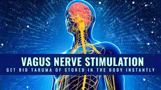 Vagus Nerve Stimulation To Release Trauma Stored In The Body | Heal Parasympathetic Nervous System
