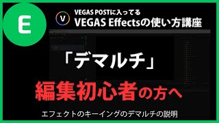 VEGAS Effectsの使い方「デマルチ」#90