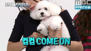 (Weeklyidol EP.251) AOA Play the game with pet dogs 'keomkeom\u0026jjong'