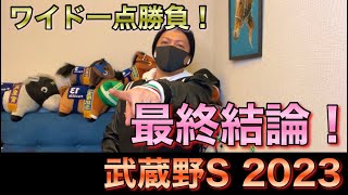 【武蔵野S 2023】最終結論！久しぶりのワイド一点勝負！買った馬券はこれ！