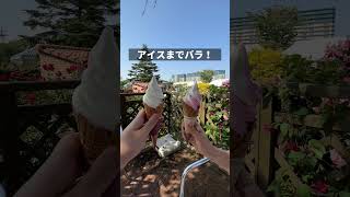 【超人気】花好き必見のバラ園がヤバすぎた