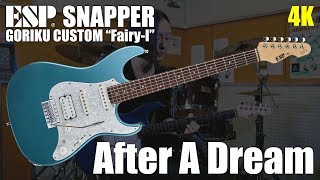 【4K】After A Dream - MAMORU GORIKU(with ESP SNAPPER GORIKU CUSTOM 