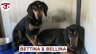 Bettina und Bellina - Wenn man die Hölle durchlebt