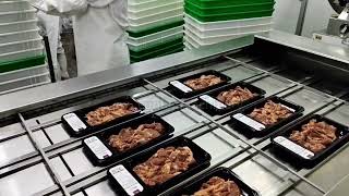 Continuous modified atmosphere packaging machine
