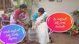 Send me your gardening  pics.ఉగాది రోజున మీరు చేసిన గార్డెనింగ్ పిక్స్ నాకు పంపండి#ideas#fruit trees