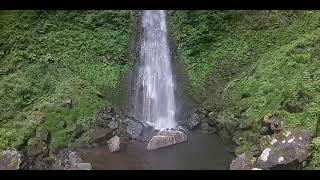 【日本鳥取市国府】夏季雨滝瀑布一片新綠，聽潺潺流水聲 (あめだきAmedaki, Tottori, Japan)