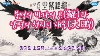 5분칼럼/철학\u0026종교-장자(莊子)의 소요유: 북명의 곤(鯤)이 남명의 대붕(大鵬)으로 변하는 궁을빛몸으로 신선이 되는 과정의 은유