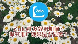 #zalo营销软件 #zalo Zalo群发效果如何？探究推广效果是否显著？