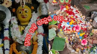 ପ୍ରଥମ ପାଳି ପନ୍ଥେଇ ଓଷା... ଜୟ ମା ମଙ୍ଗଳା...🌺🌺🌺🌺🌺🙏🙏🚩🚩🌺🌺🌺🌺...#youtube #