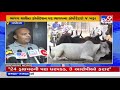 vadodara mayor keyur rokadia assures action over stray cattle nuisance tv9news