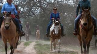 Equine Trail Sports Promo