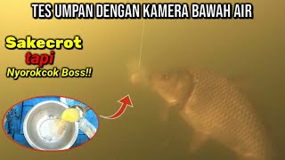 Umpan ikan mas ini simple tapi gacor, yang penasaran merapat boss! | Tes Kamera Bawah Air