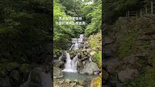 馬武督探索森林，需要門票才可以進去，裡面山景不錯#森林#新竹