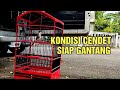 begini kondisi BURUNG CENDET yang siap gantang