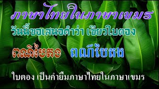 Ep256  คำภาษาไทยในภาษาเขมร  # 6 ใบตอง  (បៃតង)