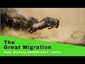The Masai Mara with Wild Eye.