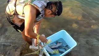 The reservoir surged, and several big fish caught the bait together【Rural Ge Laosan】