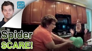 Scared Of Spiders | Jack Vale
