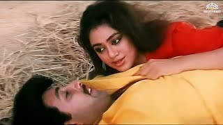 Chikkunnu Irukku | சிக்குன்னு இருக்குது | Vaathiyaar Veettu Pillai Movie Songs