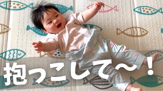 【生後259日】激しすぎ！かわいすぎ！かかと落としで抱っこアピールをする生後8ヶ月の赤ちゃんに癒される (Day 259. Pick me up!!)