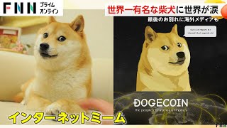 “世界一有名な柴犬”かぼすちゃんに最後のお別れ　イーロン・マスク氏も追悼　海外から駆けつけたファンも