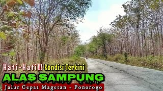 Jalur MAGETAN PONOROGO Via HUTAN JATI SAMPUNG | Indah Banget