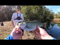 bed fishing for giant bass in an ultra clear pond insane