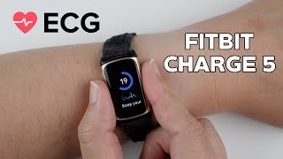 Fitbit Charge 5 ECG App – How to Use (Step-by-Step)