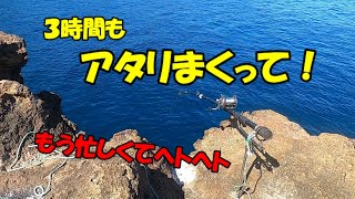 石鯛釣り、場所を変えたらアタリまくって楽しいやら忙しいやら‼