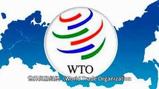 世界贸易组织（World Trade Organization，WTO）