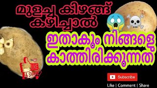 മുളച്ച ഉരുളൻകിഴങ്ങു കഴിച്ചാൽ ഇതാകും നിങ്ങളെ കാത്തിരിക്കുന്നത് /Arun's World 🕺🏼